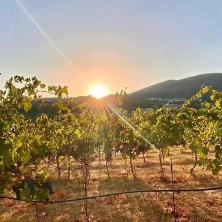 Podere Il Carpiano Scarlino Dış mekan fotoğraf